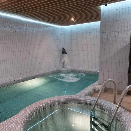 酒店 莱昂酒店 *